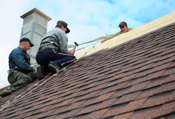 Best Roof Gutter Cleaning  in Pond Creek, OK